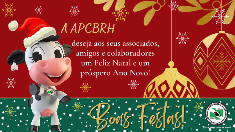 Feliz Ano Novo!